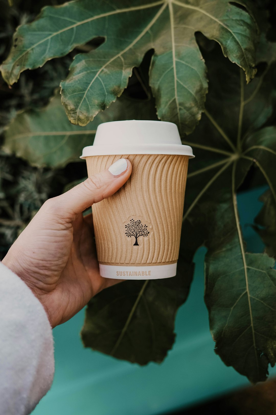 Love seeing sustainable products more and more
.